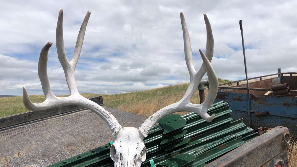 Eastern Colorado Outdoors is Now Offering Hunts in Wauneta, NE